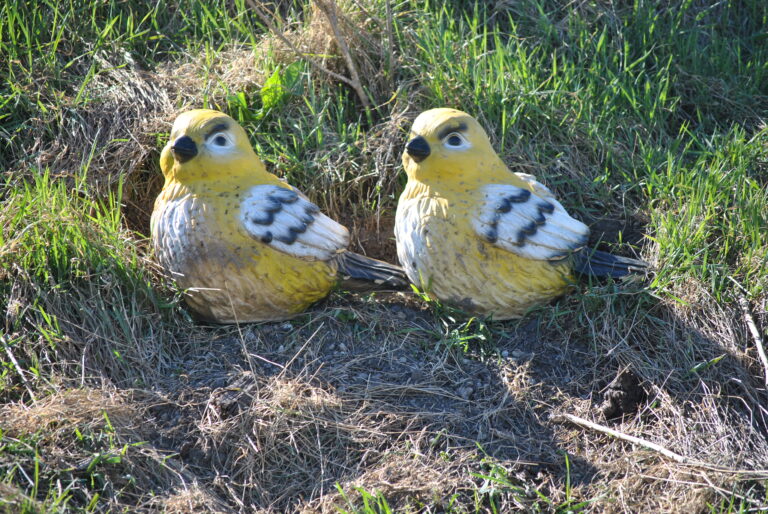 Mehr über den Artikel erfahren Hansagparcours Eröffnung Saison 2025